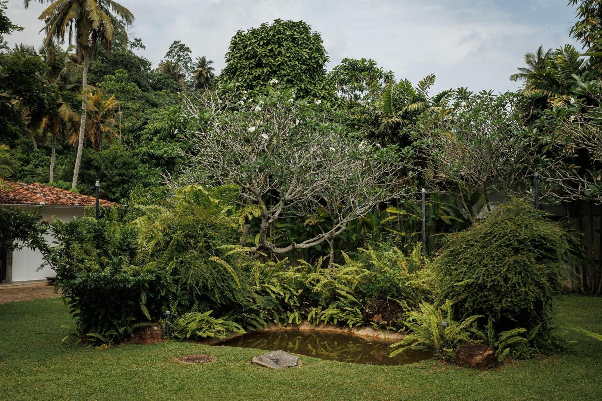 Villa White Queen Galle Esterno foto