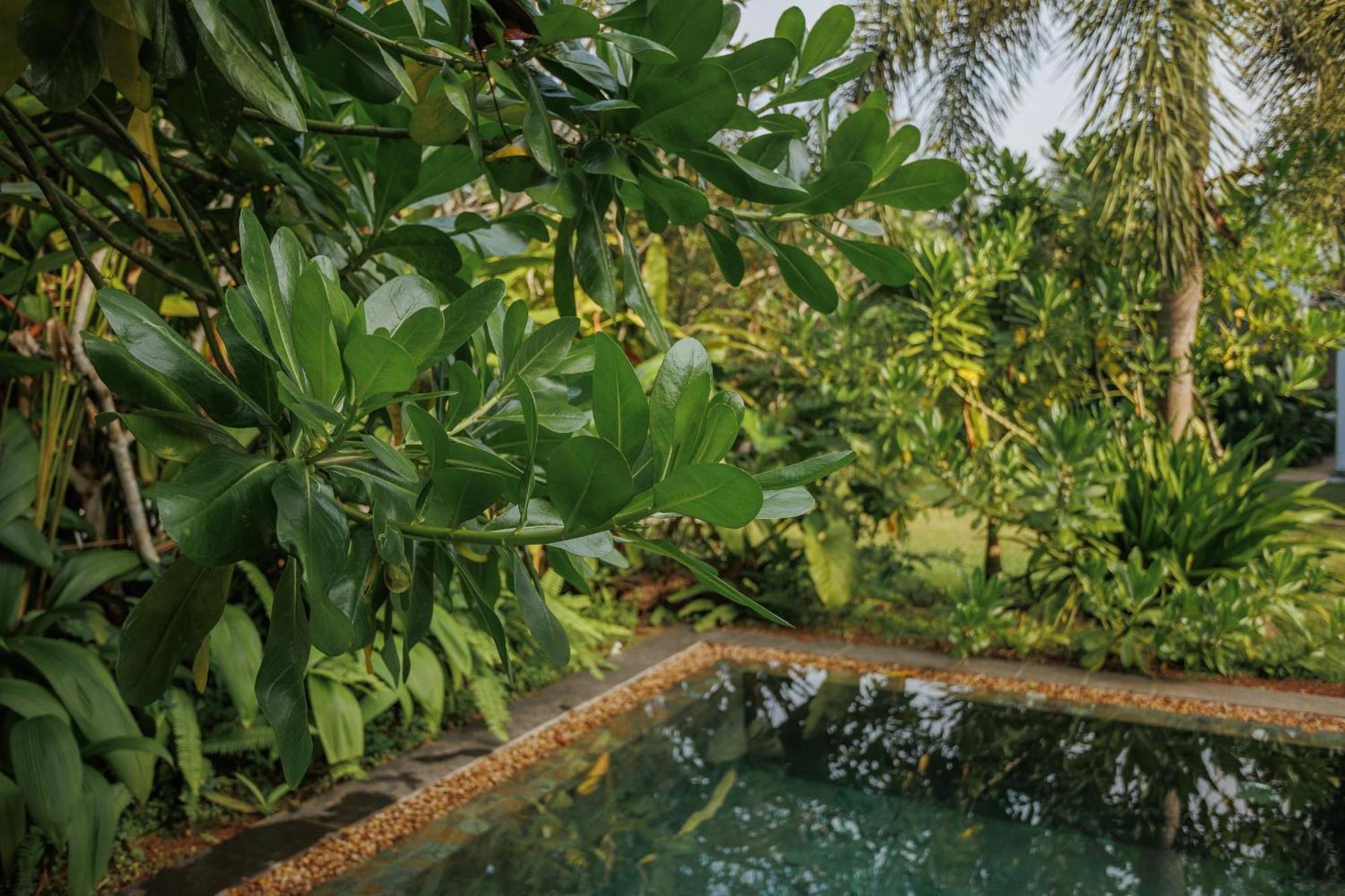Villa White Queen Galle Esterno foto