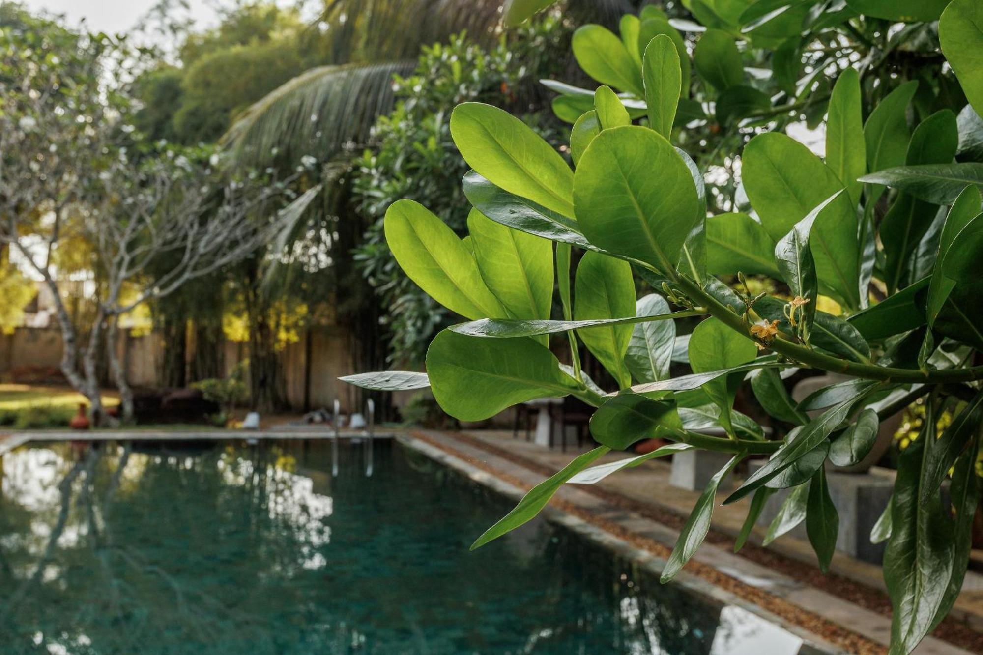 Villa White Queen Galle Esterno foto